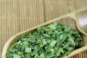 防止叶绿素损失的消毒方法（有效保护叶绿素健康的关键措施）