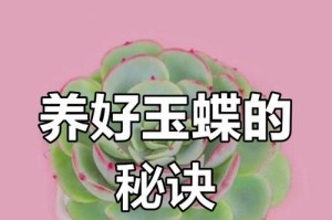 玉蝶多肉的繁殖技巧（掌握玉蝶多肉繁殖的关键方法，让您的植物园更加生机勃勃）