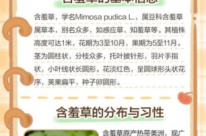 含羞草的养殖方法与养护要点（让你的含羞草养得更好）
