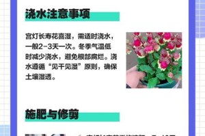 以宫灯长寿花怎么配土（探索宫灯长寿花种植的土壤要求及技巧）