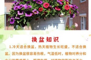 保暖小技巧（一起来学习一些简单有效的方法吧！）