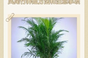 以竹的养殖技巧与注意事项（掌握竹子的关键诀窍，打造健康茁壮的竹园）