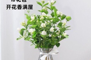 冬天家庭适合养的花草植物（室内花草植物选购指南）