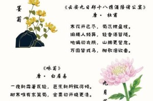 菊花的美丽之谜（揭开菊花外形的奥秘）