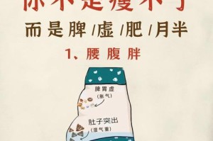 为什么我们变得如此肥胖？（探索现代生活中导致肥胖的主要原因和解决方案）