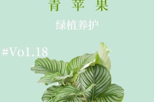 打造绿色生态，探秘蓝苹果之养殖方法与养护要点（蓝苹果的种植全攻略，让你轻松实现收益增值）