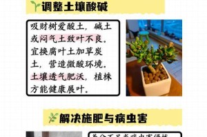 吸财树颜色发土的原因及解决办法（探究吸财树为什么会变色并提供有效的应对方法）