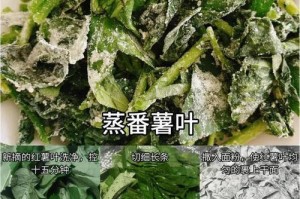 怎样正确冷冻保存地瓜叶？（地瓜叶的营养价值和正确的冷冻方法。）