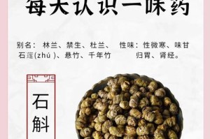 石斛的种植条件及环境要求（掌握关键要素让石斛健康成长）