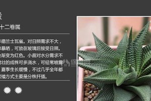 白雪姬（探寻白雪姬的故事和象征意义）