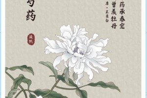 离别的爱情——白色玫瑰花语（白色玫瑰花语揭示的离别的情感真谛）