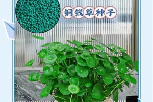 蜈蚣草修剪指南（打造理想的蜈蚣草株型，让它更加美丽健康）