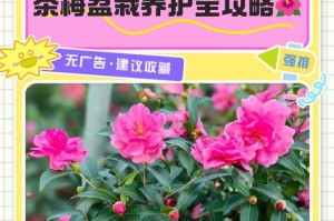 茶梅盆景的制作与养护技巧（探秘茶梅盆景制作的奥妙，打造别具一格的园艺世界）