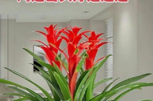 以花卉鸿运当头盆栽的养殖技巧（打造幸运鸿运，助您事业有成）