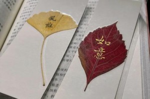 爬山虎的叶子之美（揭秘爬山虎叶子的形态、特点和用途）
