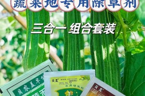 香菜的生命特性（探究香菜是一年生还是多年生）