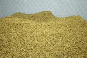 杭白菊亩产量究竟有多少？（探究亩产量，解读杭白菊高产的秘密）