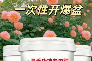 月季叶子发黄怎么办？（月季叶子黄化的原因和治疗方法）