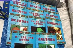 冬瓜种植技术与管理方法高产栽培技术（从选种到收获，让你的冬瓜高产无忧！）