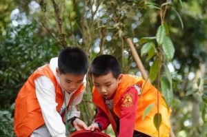 春天种树，浇水关键（春天种树的浇水技巧及注意事项）