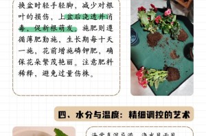 如何正确地给海棠浇水？（时间、方法、技巧全解密！）