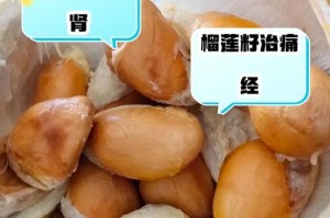 如何保留榴莲核作为种子的方法（利用榴莲核种植自家榴莲树）