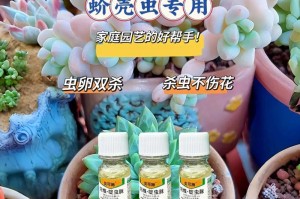 如何有效去除花叶上的介壳虫（自然方式去除介壳虫，让花叶重现青翠）