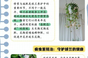 如何处理球兰叶子上的白点问题（球兰叶子白点处理方法及注意事项）