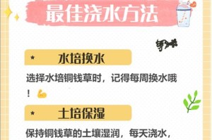 铜草的养殖技巧与方法（掌握养殖铜草的关键技巧，轻松打造独特花园景观）