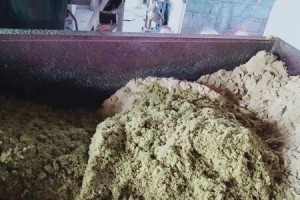 如何合理套种皇竹草（让你的田园更加生机勃勃）