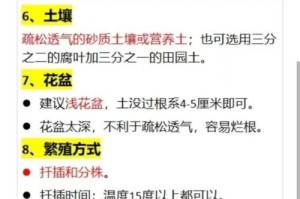 虎皮兰叶子烂的处理方法（教你如何拯救受损的虎皮兰叶子）