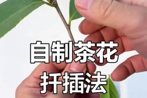 茶花纤插艺术（探秘茶花纤插的技艺与魅力）