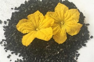 活性炭能种花吗？解密活性炭的神奇妙用（探究活性炭对花卉生长的秘密，解锁“活性炭种花”新技能）