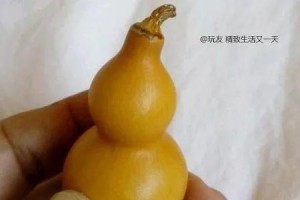 如何让葫芦快速变黄（掌握关键技巧，让你的葫芦早日变黄）