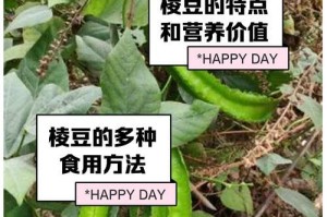 四棱豆种植技巧与开花结果全解析（多久开花？如何增加开花率？四棱豆的特点和养护要点）