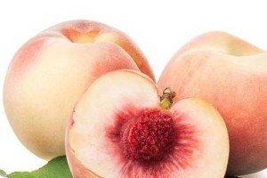 宠物狗能否食用核桃？（了解核桃的营养成分与狗狗的身体状况）