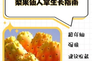 探秘仙人掌的神奇之处（探索仙人掌的养殖、药用和艺术价值）