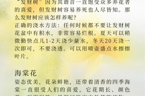 如何判断绿萝的浇水时机（有效判断绿萝是否需要浇水的方法与技巧）