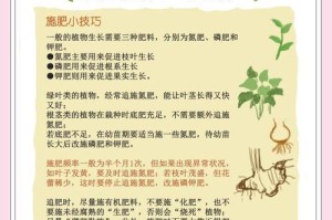 探索科学施肥养地的有效方法（提高农作物产量的关键）