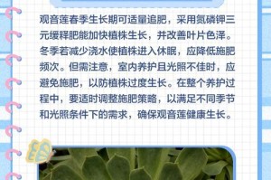 观音莲耐寒性强，适应寒冷环境（了解观音莲的适应能力，打造适合寒冷环境的花园）
