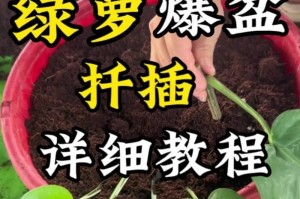 绿萝修剪技巧（掌握关键，让绿萝迎来茁壮成长）
