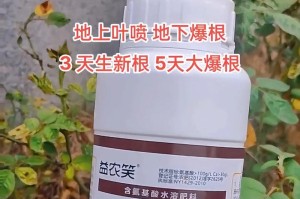 探索解决种花没有根的方法（用科学方法帮助花朵生长）