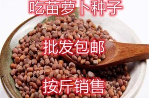 萝卜种子可以食用吗？解答你的疑惑！（了解萝卜种子的营养价值和食用方法，开启健康美食之旅！）