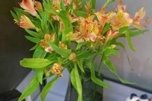 水仙百合插花的养护技巧（打造优美花束，用心养花）