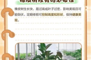 如何加速橡皮树生长速度（优化土壤和提供适当养分是关键）