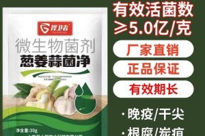 大葱炭疽病防治全攻略（病因、药物、治疗，让你轻松防范）