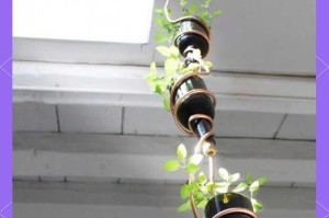 以酒瓶子怎么切割花盆（利用废弃酒瓶创造独特花盆）