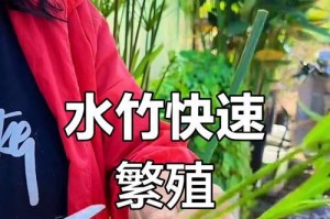 水竹叶子蓬勃生长的秘诀（探寻水竹生长中的关键因素与技巧）