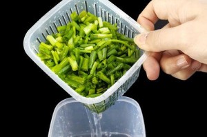 葱的保存时间及方法（葱的保鲜小妙招）