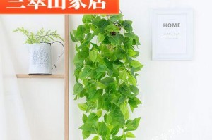 绿萝如何向上攀爬的秘密（揭开绿萝攀爬之路的技巧与方法）